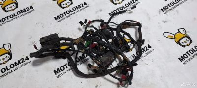 Лот: 23319030. Фото: 1. Проводка коса Honda VFR750 RC36. Запчасти