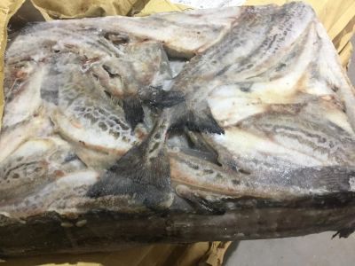 Лот: 11250889. Фото: 1. Продам минтаи 30+ По 17 кг. Икра, рыба, морепродукты