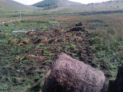 Лот: 6348731. Фото: 1. участок 50 сот., земли поселений... Земельные участки