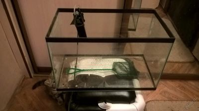 Лот: 5878760. Фото: 1. Аквариум 40л +фильтр с подачей... Аквариумы, террариумы