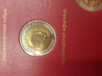 Лот: 19157516. Фото: 1. Монета 50 рублей красная книга-... Россия после 1991 года