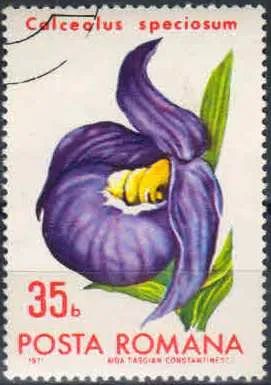Лот: 21505892. Фото: 1. 1971. Румыния. Цветы - Ботанический... Марки