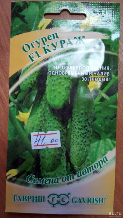 Лот: 15536220. Фото: 1. Огурец Кураж F1. Овощи