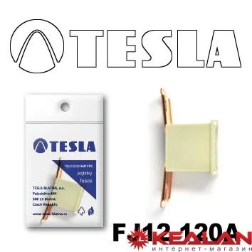 Лот: 8599137. Фото: 1. TESLA FJ12 120A предохранитель... Расходные материалы