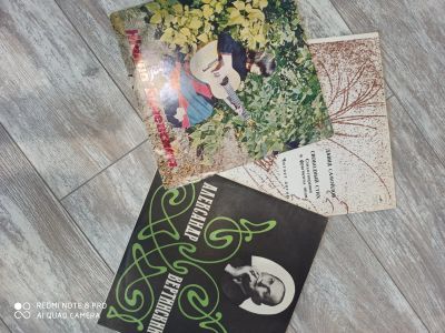 Лот: 20891845. Фото: 1. Виниловые пластинки 8. Аудиозаписи