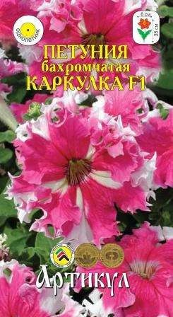 Лот: 11025612. Фото: 1. Петуния круп.цвет.бахром.Каркулка... Садовые цветы