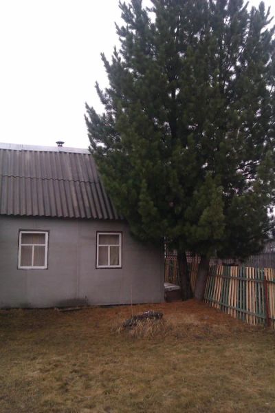 Лот: 7240420. Фото: 1. Срочно продам дачу ст. Родники... Дачи