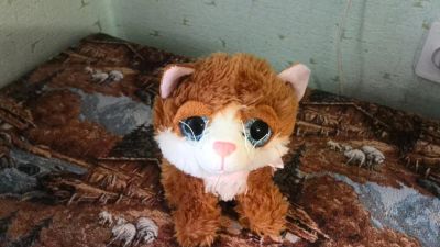 Лот: 6366958. Фото: 1. глазастый котик. Мягкие