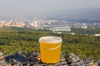 Лот: 8280763. Фото: 1. Натуральный алтайский донниковый... Мёд, продукты пчеловодства