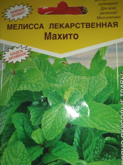 Лот: 17490583. Фото: 1. Мелисса лекарственная "Махито... Пряные, лекарственные растения и зелень
