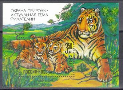 Лот: 1922881. Фото: 1. Первый блок России 1992 г... Марки