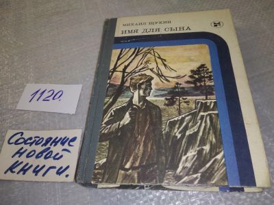 Лот: 19101902. Фото: 1. Щукин Михаил. Имя для сына, Михаил... Художественная