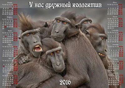Лот: 6660177. Фото: 1. Порадуй коллектив Календарь -... Подарки на Новый год