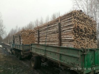 Лот: 17029380. Фото: 1. Шест гасильный. Материалы и сырьё