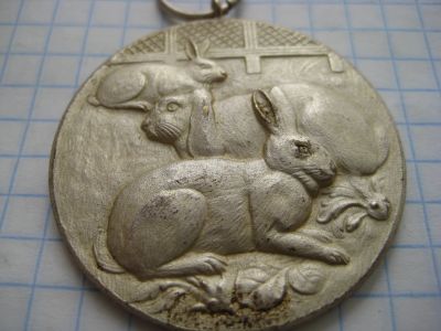 Лот: 18977330. Фото: 1. Медаль - Заяц - Зайчик - Кролики... Памятные медали