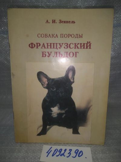 Лот: 25756059. Фото: 1. ВбЮ/OzЮ(4092390)Собака породы... Домашние животные