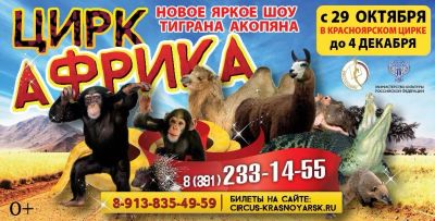 Лот: 8617981. Фото: 1. Пригласительные в ЦИРК!!! на 2-х... Подарки на Новый год