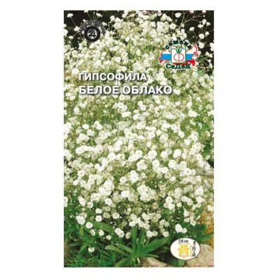 Лот: 24654699. Фото: 1. Семена Цветы, Гипсофила, Белое... Другое (семена, рассада, садовые растения)