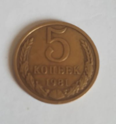 Лот: 16165094. Фото: 1. 5 копеек 1981. Россия и СССР 1917-1991 года