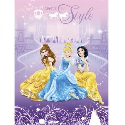 Лот: 4913721. Фото: 1. Плед флисовый Disney "Принцессы... Пледы, покрывала