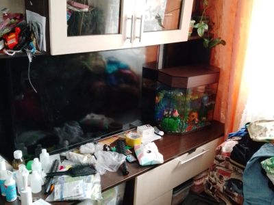 Лот: 25592326. Фото: 1. Стенка-горка. Гостиные, стенки, горки