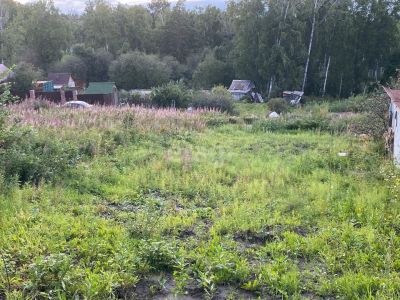 Лот: 25296702. Фото: 1. участок , ДНТ Родничок-2 ДНТ Родничок-2... Земельные участки
