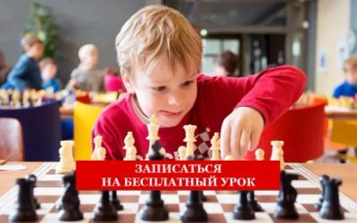 Лот: 25755982. Фото: 1. Шахматы онлайн. Логопеды, дополнительное образование