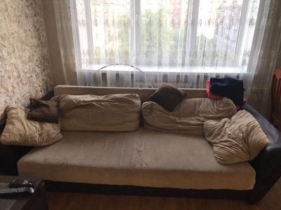 Лот: 13929250. Фото: 1. Диван. Диваны
