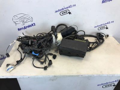 Лот: 21707836. Фото: 1. проводка подкапотная Ford Focus... Двигатель и элементы двигателя