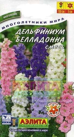 Лот: 11024326. Фото: 1. Дельфиниум Белладонна многолетний... Садовые цветы