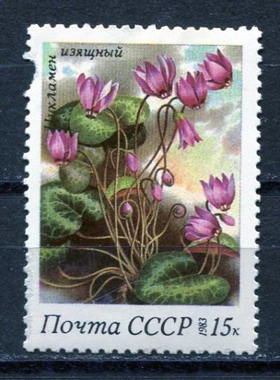 Лот: 15765814. Фото: 1. 1983 СССР Изящный цикламен Цветы... Марки