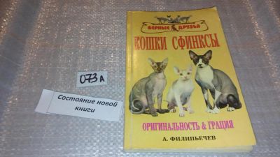 Лот: 7859273. Фото: 1. Кошки сфинксы. Оригинальность... Домашние животные