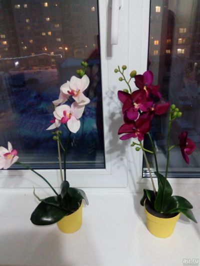 Лот: 10840814. Фото: 1. Искусственные цветы Орхидеи от... Искусственные и сувенирные цветы