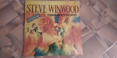 Лот: 17174148. Фото: 1. Винил Steve Winwood - talking... Аудиозаписи