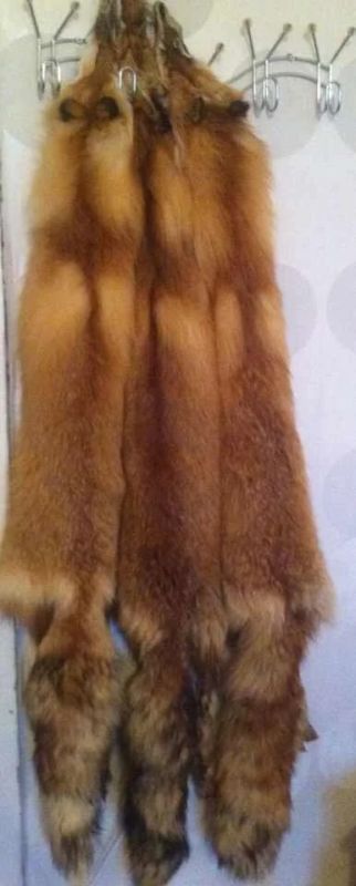 Лот: 5280175. Фото: 1. шкура лисы цена снижена!!!! выделанная... Материалы и сырьё