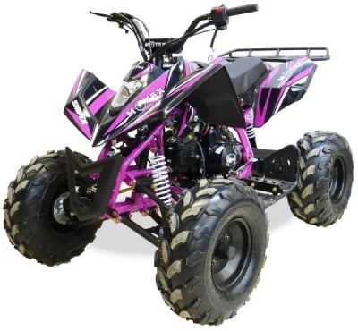 Лот: 25364861. Фото: 1. Квадроцикл MOTAX ATV T-Rex Super... Снегоходы, квадроциклы