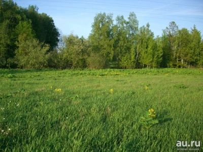 Лот: 13290653. Фото: 1. Земельный участок ИЖС, Козулька... Земельные участки