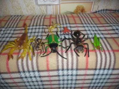 Лот: 6397630. Фото: 1. Коллекция насекомых(одним лотом... Другое (игрушки)