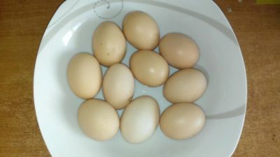 Лот: 5429797. Фото: 1. Яйцо куриное домашнее. Мясо, птица, яйцо