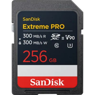 Лот: 25241034. Фото: 1. Карта памяти SanDisk 256GB Extreme... Карты памяти