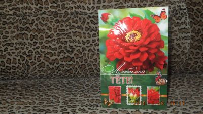 Лот: 5033474. Фото: 1. "Открытка "Любиой Тете!"". Открытки, конверты