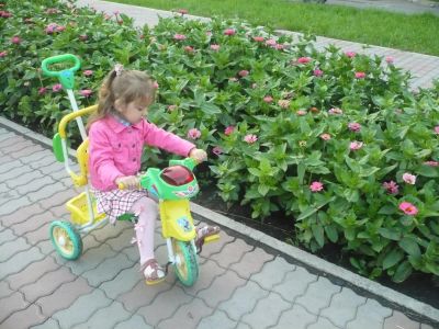 Лот: 5507657. Фото: 1. Велосипед с ручкой. Красноярск