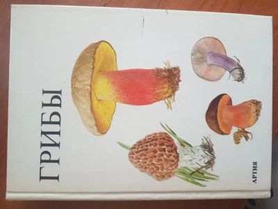 Лот: 20567850. Фото: 1. Книга ГРИБЫ ( из-во Артия Прага... Сад, огород, цветы