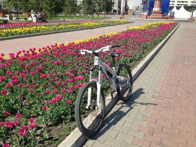 Лот: 4347085. Фото: 1. scott voltage fr (дербан!). Велосипеды