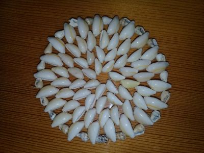 Лот: 11116023. Фото: 1. Подставка из ракушек. Бижутерия ручной работы