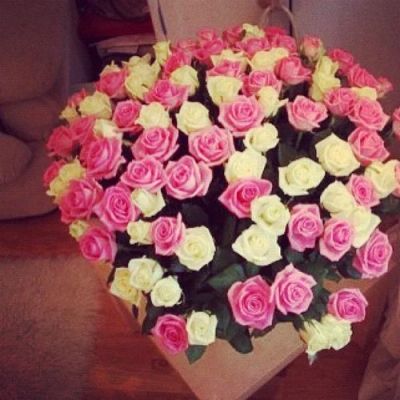 Лот: 3675505. Фото: 1. Оформленный букет из 25 шикарных... Свежие цветы