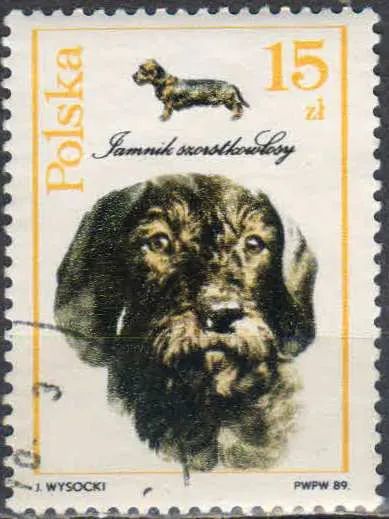 Лот: 25055820. Фото: 1. 1989. Польша. Собаки. н.с. № 3200. Марки