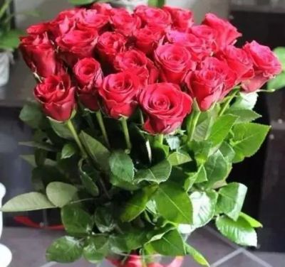 Лот: 10312737. Фото: 1. Роза красная 70см / Голландия. Свежие цветы