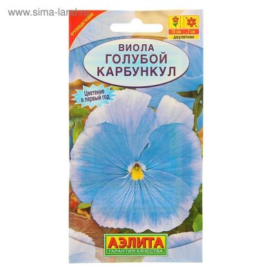 Лот: 9720690. Фото: 1. Виола Голубой карбункул Рассада. Садовые цветы