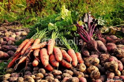 Лот: 6849538. Фото: 1. набор овощей ( картофель свекла... Овощи, фрукты, зелень